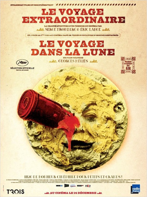 Affiche du film Le voyage extraordinaire 