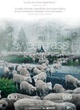 Affiche du film Sweetgrass 