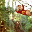alvin-dans-les-branches-alvin-et-les-chipmunks-3-jpg