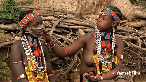 africa-le-sang-et-la-beaute-jpg