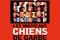 Affiche du film Les nouveaux chiens de garde 