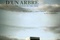 Affiche du film A travers les branches d'un arbre 
