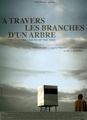 A travers les branches d'un arbre
