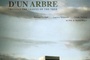 Affiche du film A travers les branches d'un arbre 