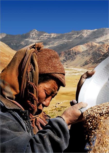 himalaya-la-terre-des-femmes-jpg