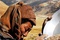 himalaya-la-terre-des-femmes-jpg