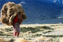 himalaya-terre-des-femmes-jpg