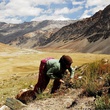 marianne-chaud-himalaya-terre-des-femmes-jpg