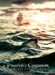 pirates-des-caraibes-5-affiche-jpg