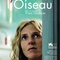 Affiche du film L'oiseau  - L'oiseau 