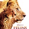 Affiche du film Félins  - Félins 