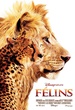 Félins 