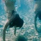 enfants-sous-l-eau-jpg - Jeux d'été 