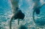 enfants-sous-l-eau-jpg