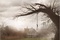 Affiche du film The Conjuring 