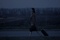 photo-2-du-film-jpg