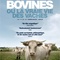 Affiche du film Bovines  - Bovines 