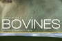 affiche-teaser-jpg