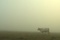 photo-2-du-film-bovines-jpg