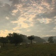photo-4-du-film-bovines-jpg