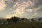 photo-4-du-film-bovines-jpg