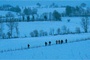 la-campagne-sous-la-neige-jpg