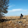 un-fermier-a-cheval-jpg