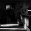 image-9-du-film-jpg