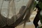 photo-5-du-film-busong-jpg