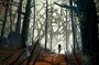 norman-dans-la-foret-jpg