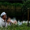 un-pere-et-son-fils-jpg - La Terre outragée  