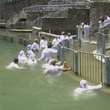 photo-du-film-water-jpg