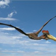 photo-2-du-film-les-pterodactyles-jpg