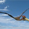 photo-2-du-film-les-pterodactyles-jpg - Ptérodactyles 3D : Dans le ciel des dinosaures  