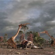 photo-3-du-film-les-pterodactyles-jpg