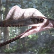 photo-7du-film-les-pterodactyles-jpg