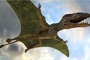 photo-du-film-les-pterodactyles-jpg