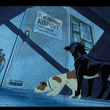 photo-4-du-film-the-plague-dog-jpg