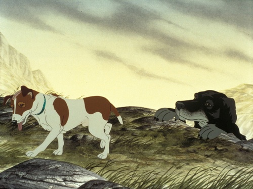 photo-7-du-film-the-plague-dog-jpg