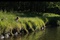 photo-4-du-film-a-pas-de-loup-jpg