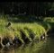 photo-4-du-film-a-pas-de-loup-jpg - A Pas de Loup 