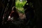 photo-du-film-a-pas-de-loup-jpg