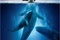Affiche du film Miracle en Alaska 