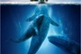 Affiche du film Miracle en Alaska 