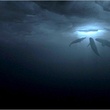 les-trois-baleines-jpg