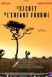 Le secret de l'enfant fourmi 
