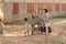 photo-du-film-le-secret-de-l-enfant-fourmi-jpg