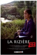 La rizière 