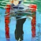 affiche-americaine-jpg - 11 Fleurs 