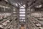norman-foster-photo-jpg